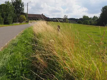 Kwaremont (Belgium)